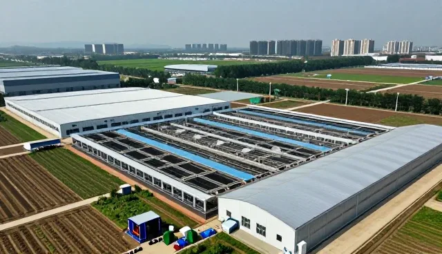 技术维护如何影响应用软件性能与适用条件